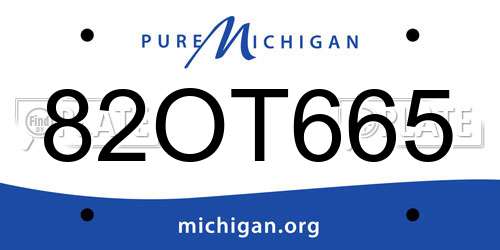 82OT665 Michigan License Plate