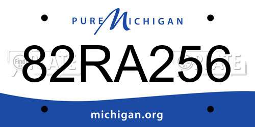 82RA256 Michigan License Plate