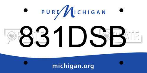 831DSB Michigan License Plate