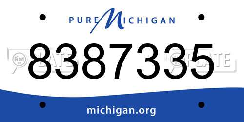 8387335 Michigan License Plate