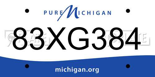 83XG384 Michigan License Plate