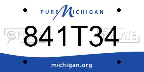 841T34 Michigan License Plate