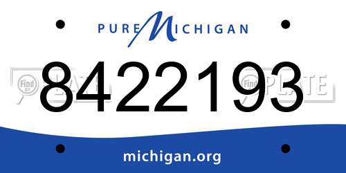 8422193 Michigan License Plate