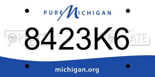 8423K6 Michigan License Plate