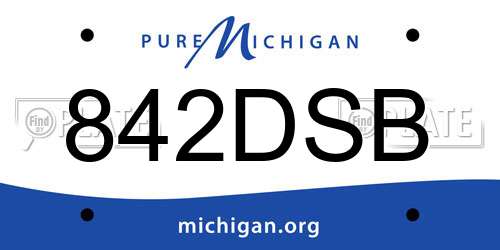 842DSB Michigan License Plate