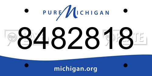 8482818 Michigan License Plate
