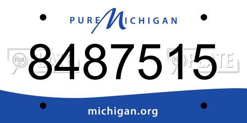 8487515 Michigan License Plate