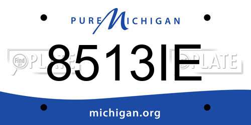 8513IE Michigan License Plate