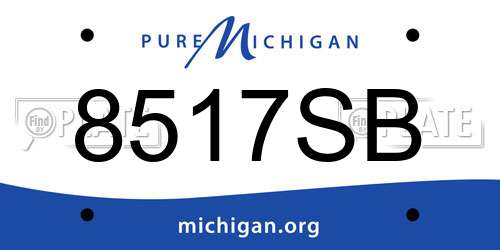 8517SB Michigan License Plate