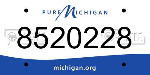 8520228 Michigan License Plate