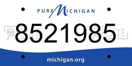8521985 Michigan License Plate