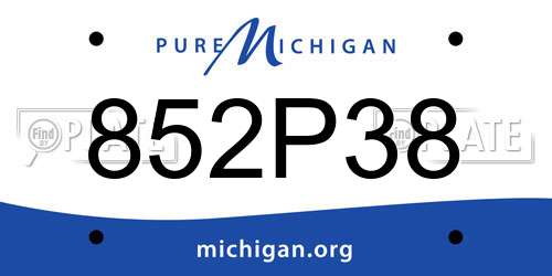 852P38 Michigan License Plate