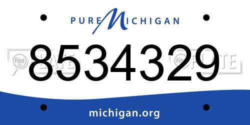 8534329 Michigan License Plate