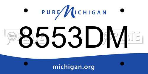 8553DM Michigan License Plate