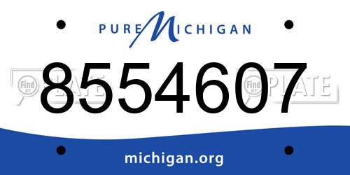8554607 Michigan License Plate