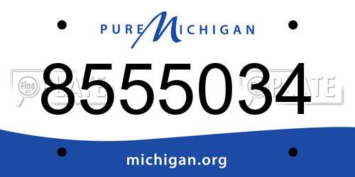 8555034 Michigan License Plate