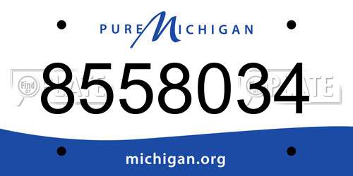 8558034 Michigan License Plate