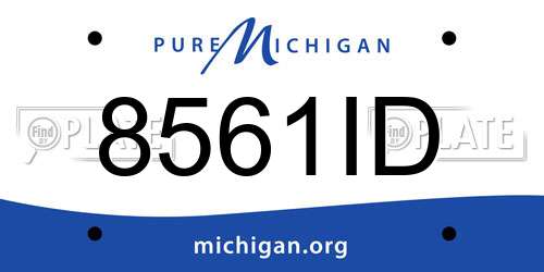 8561ID Michigan License Plate