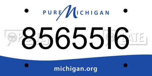 85655I6 Michigan License Plate