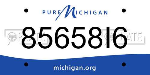 85658I6 Michigan License Plate
