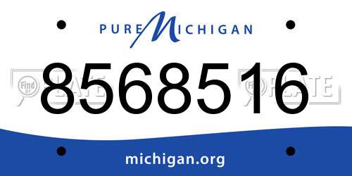 8568516 Michigan License Plate