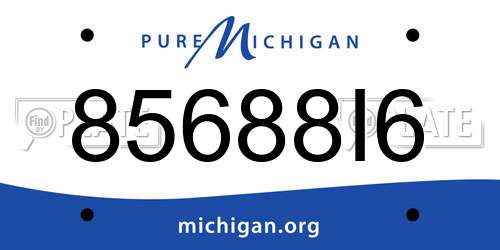85688I6 Michigan License Plate