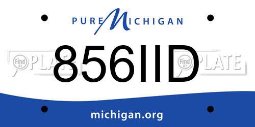 856IID Michigan License Plate