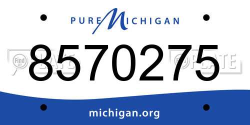 8570275 Michigan License Plate