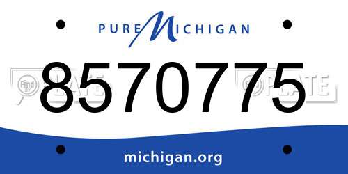 8570775 Michigan License Plate