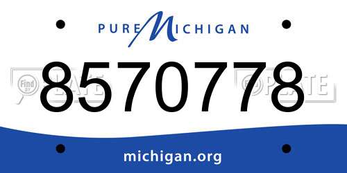 8570778 Michigan License Plate