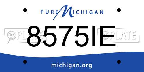 8575IE Michigan License Plate
