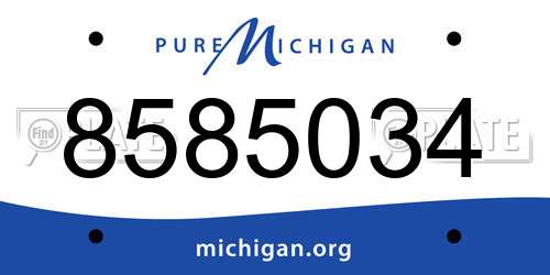 8585034 Michigan License Plate