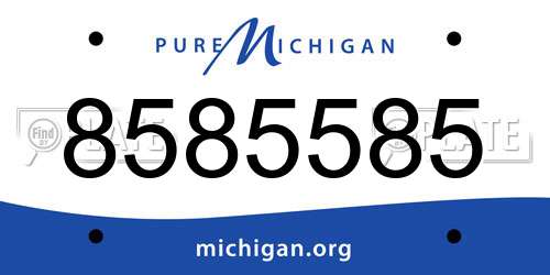8585585 Michigan License Plate