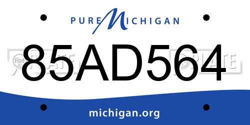85AD564 Michigan License Plate