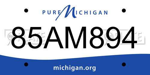 85AM894 Michigan License Plate