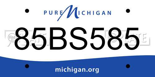 85BS585 Michigan License Plate