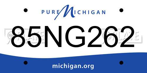 85NG262 Michigan License Plate