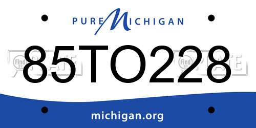 85TO228 Michigan License Plate