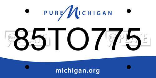 85TO775 Michigan License Plate