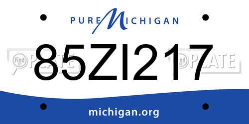 85ZI217 Michigan License Plate