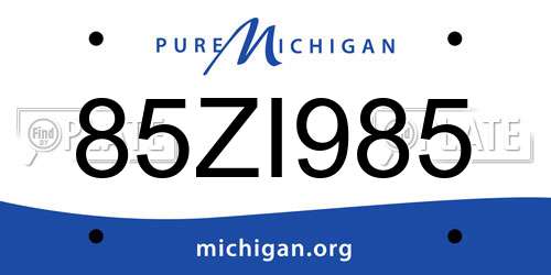 85ZI985 Michigan License Plate