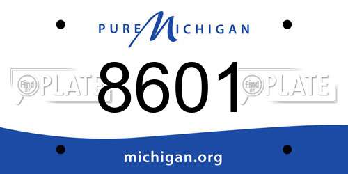 8601 Michigan License Plate