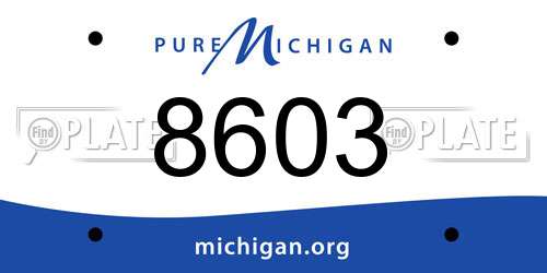 8603 Michigan License Plate
