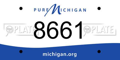8661 Michigan License Plate