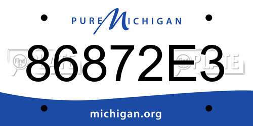 86872E3 Michigan License Plate