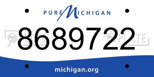 8689722 Michigan License Plate