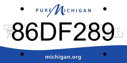86DF289 Michigan License Plate