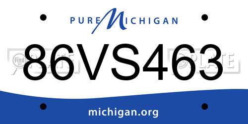 86VS463 Michigan License Plate