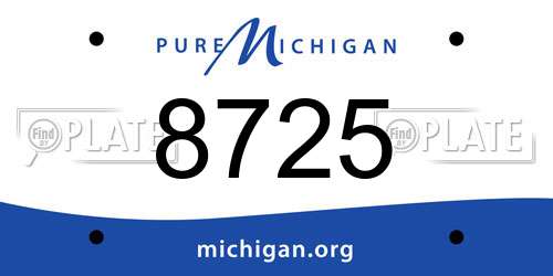 8725 Michigan License Plate