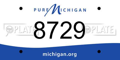 8729 Michigan License Plate
